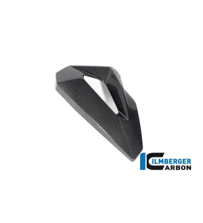 Flanc de radiateur gauche carbone pour BMW S 1000 XR | Ilmberger Carbon