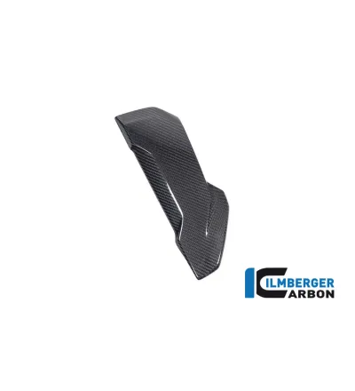 Flanc de radiateur gauche carbone pour BMW S 1000 XR | Ilmberger Carbon