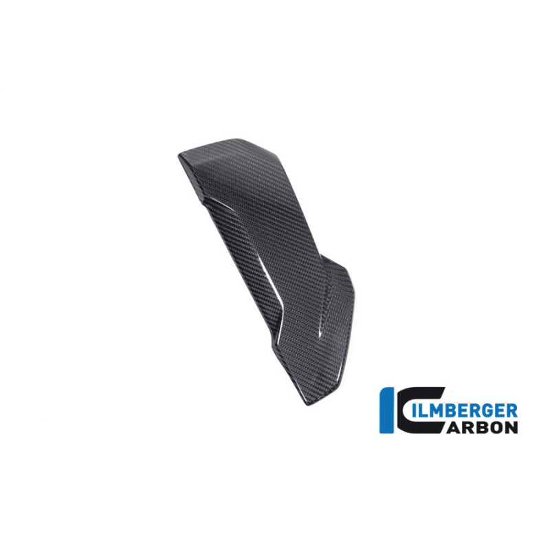 Flanc de radiateur gauche carbone pour BMW S 1000 XR | Ilmberger Carbon