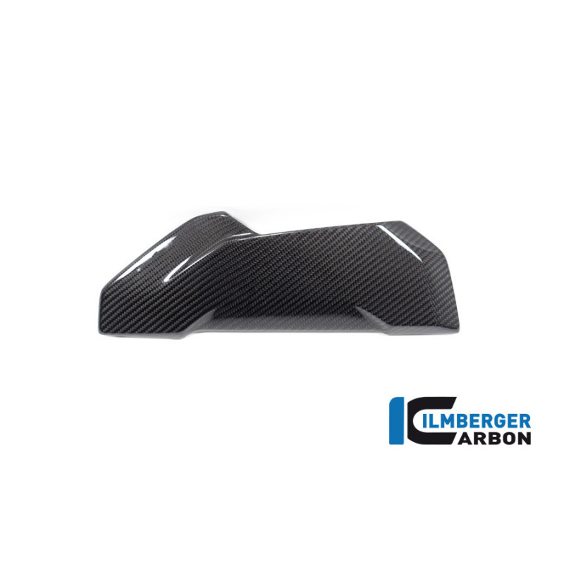 Flanc de radiateur droit carbone pour BMW S 1000 XR | Ilmberger Carbon