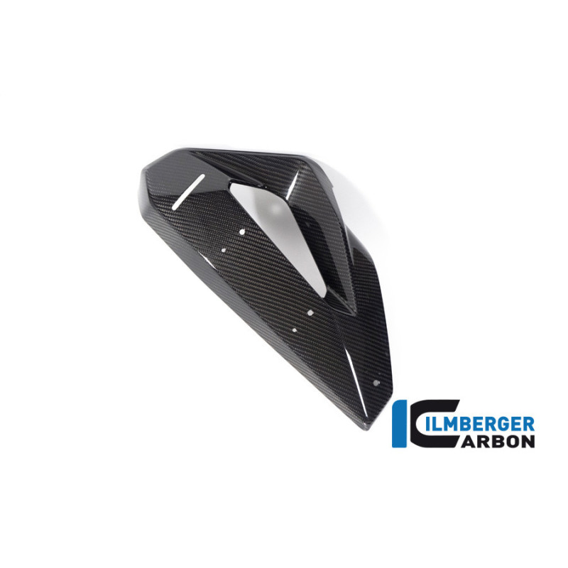 Flanc de radiateur avec aileron gauche carbone pour BMW M 1000 XR | Ilmberger Carbon