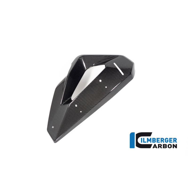 Flanc de radiateur avec aileron droit carbone pour BMW M 1000 XR | Ilmberger Carbon