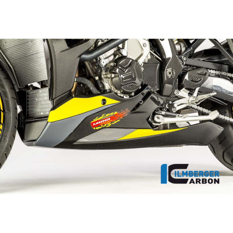 Sabot moteur carbone pour BMW S 1000 XR | Ilmberger Carbon