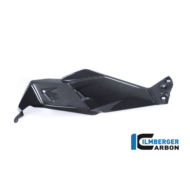 Flanc de réservoir bas gauche (E4) carbone pour BMW R 1200 GS | Ilmberger Carbon