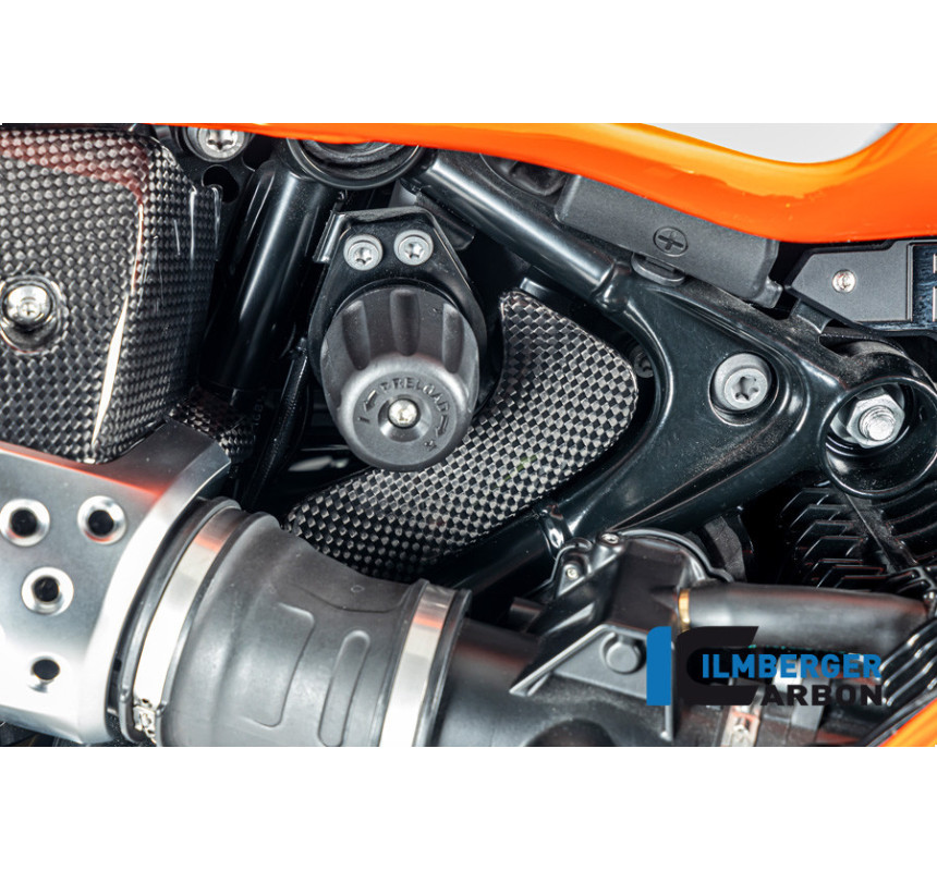 Cache de boîte à outils carbone pour R 12 nineT & R 12 S