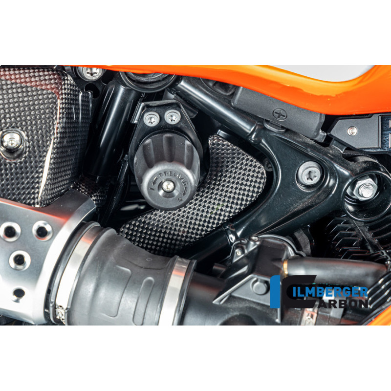 Cache de boîte à outils carbone pour R 12 nineT & R 12 S