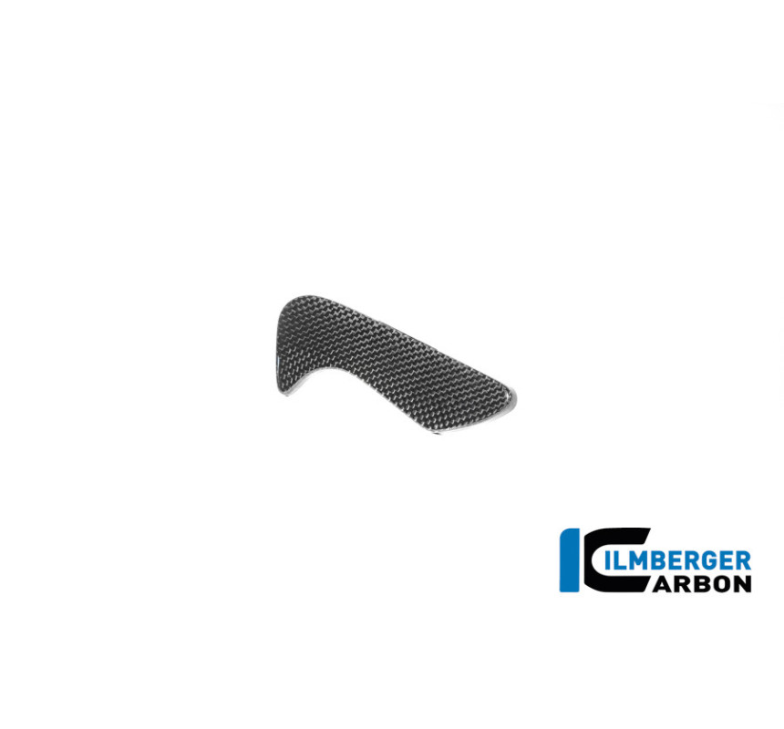 Cache de boîte à outils carbone pour BMW R 12 nineT | Ilmberger Carbon