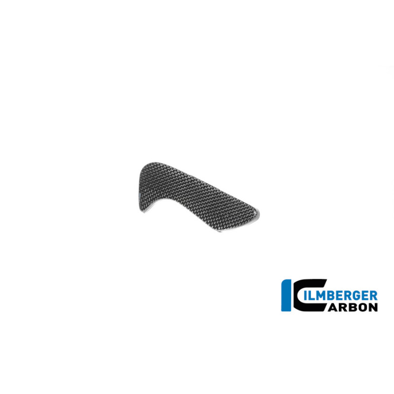 Cache de boîte à outils carbone pour BMW R 12 nineT | Ilmberger Carbon