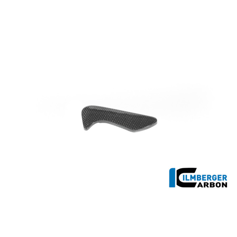 Cache de boîte à outils carbone pour BMW R 12 nineT | Ilmberger Carbon