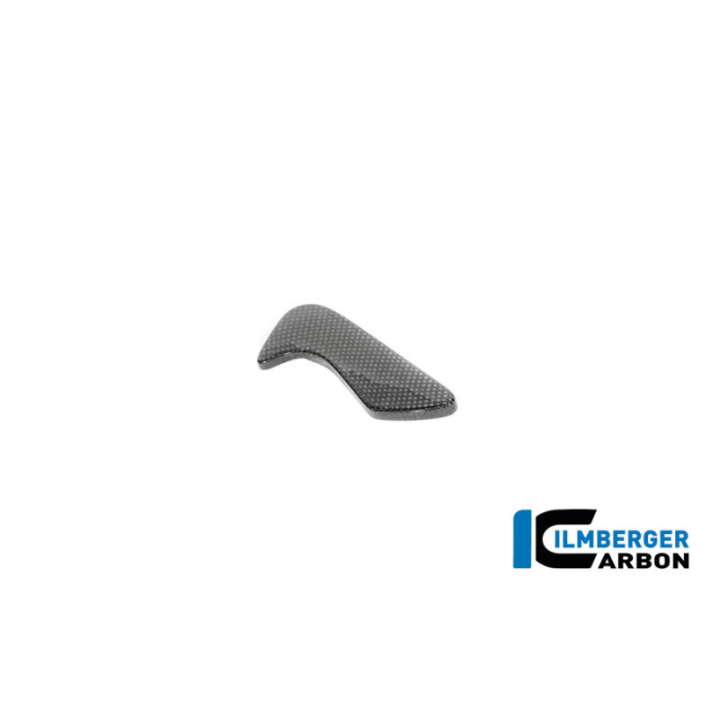 Cache de boîte à outils carbone pour BMW R 12 nineT | Ilmberger Carbon