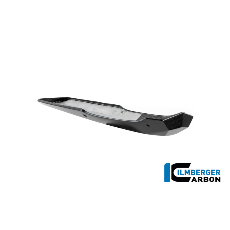 Sabot moteur carbone pour BMW R 12 nineT | Ilmberger Carbon