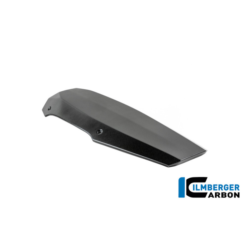 Sabot moteur carbone pour BMW R 12 nineT | Ilmberger Carbon