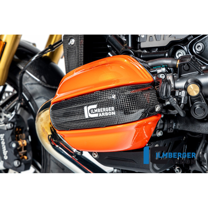 Cache de bougie gauche carbone pour BMW R 12 nineT | Ilmberger Carbon