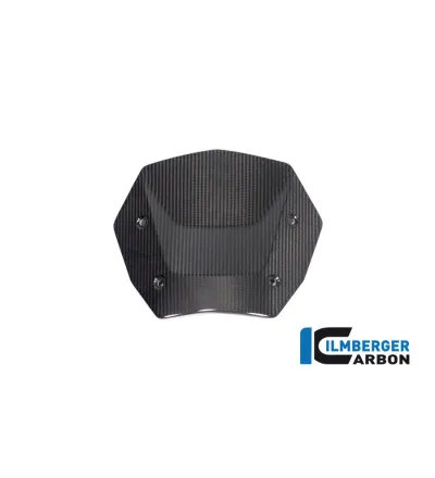 Saute-vent carbone pour BMW R 1300 GS & GSA | Ilmberger Carbon