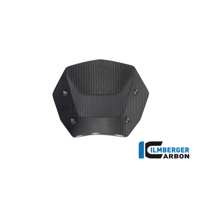 Saute-vent carbone pour BMW R 1300 GS & GSA | Ilmberger Carbon