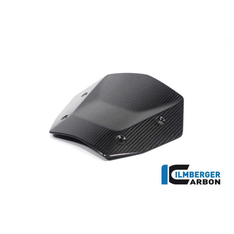 Saute-vent carbone pour BMW R 1300 GS & GSA | Ilmberger Carbon