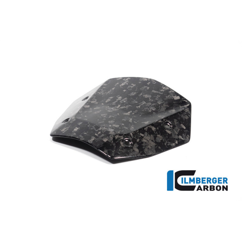 Saute-vent carbone pour R 1300 GS & GSA