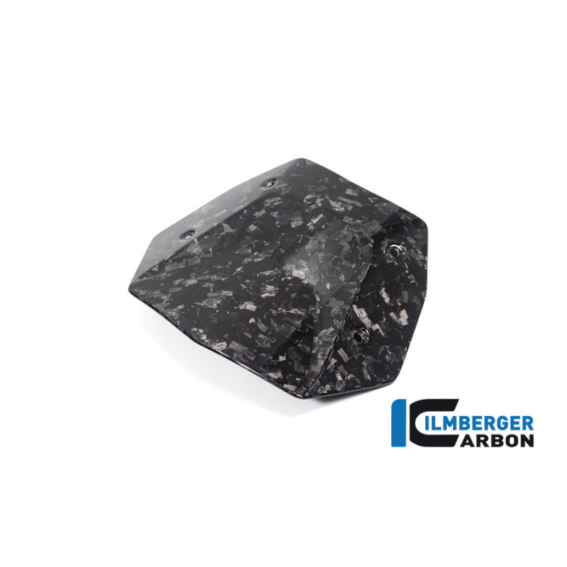 Saute-vent carbone pour R 1300 GS & GSA