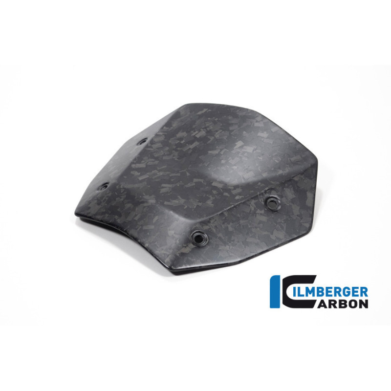 Saute-vent carbone pour R 1300 GS & GSA