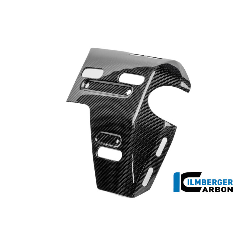 Habillage de radiateur droit percé pour support de valise carbone pour BMW R 1300 GS Adventure | Ilmberger Carbon