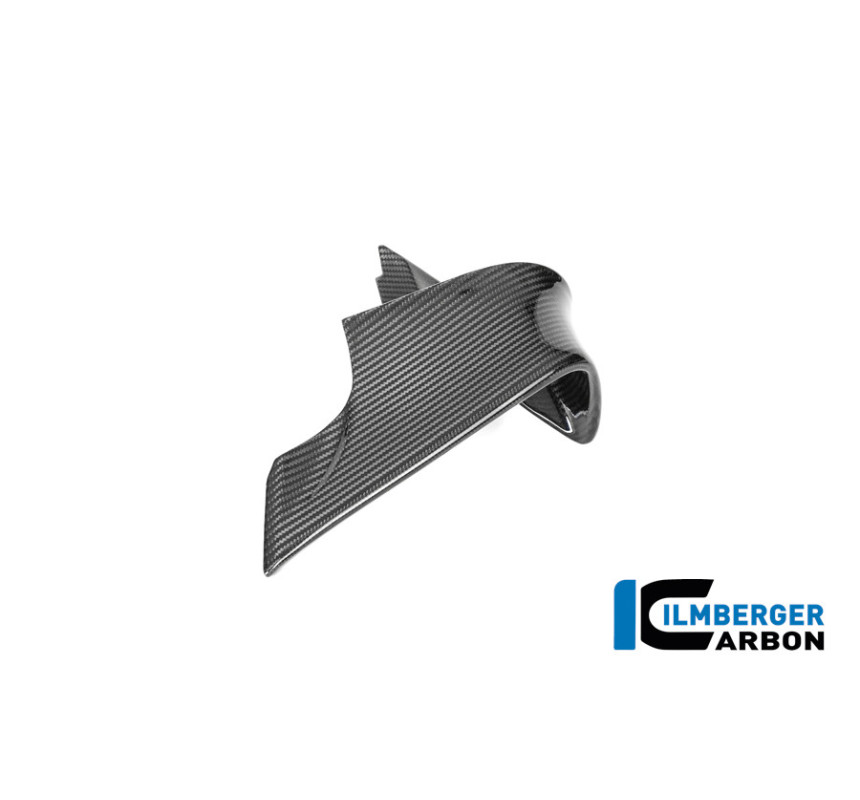 Aileron gauche carbone pour BMW M 1000 RR | Ilmberger Carbon