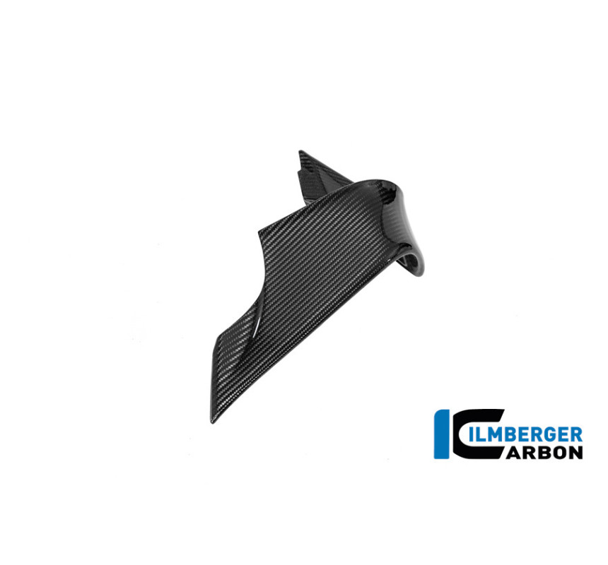 Aileron gauche pour M 1000 RR 2025 et plus