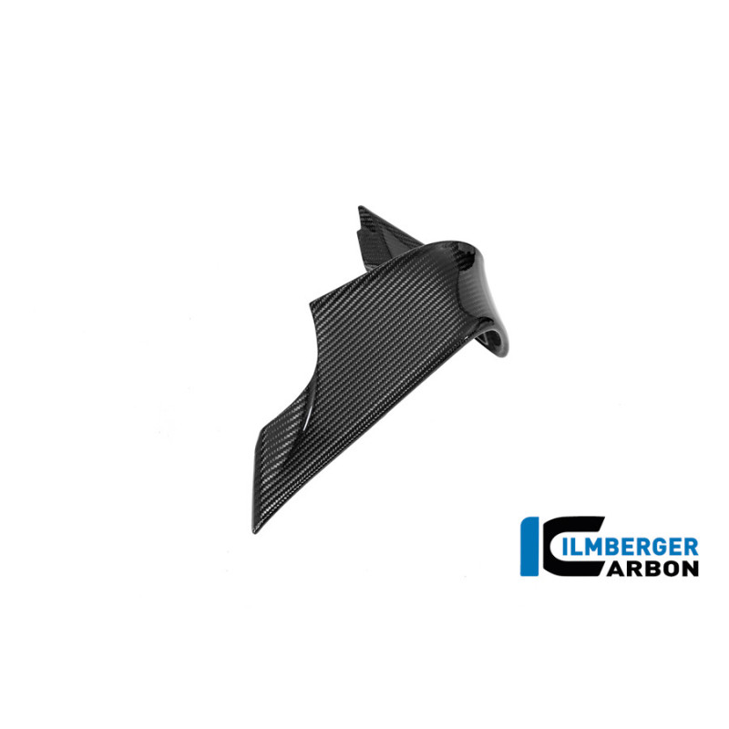 Aileron gauche pour M 1000 RR 2025 et plus