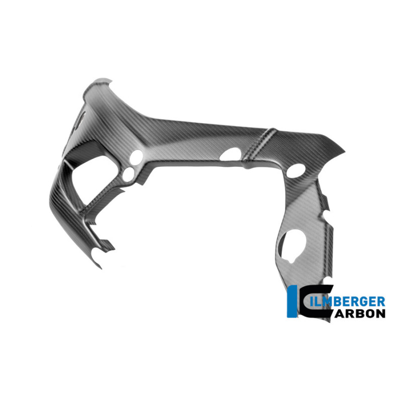 Cache de cadre gauche carbone pour BMW M 1000 RR | Ilmberger Carbon