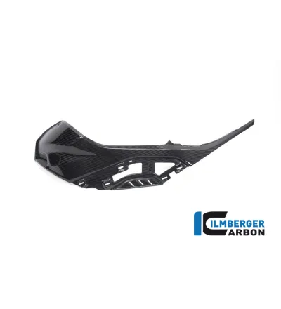 Cache latéral de réservoir gauche carbone pour BMW S 1000 R (E5+) | Ilmberger Carbon