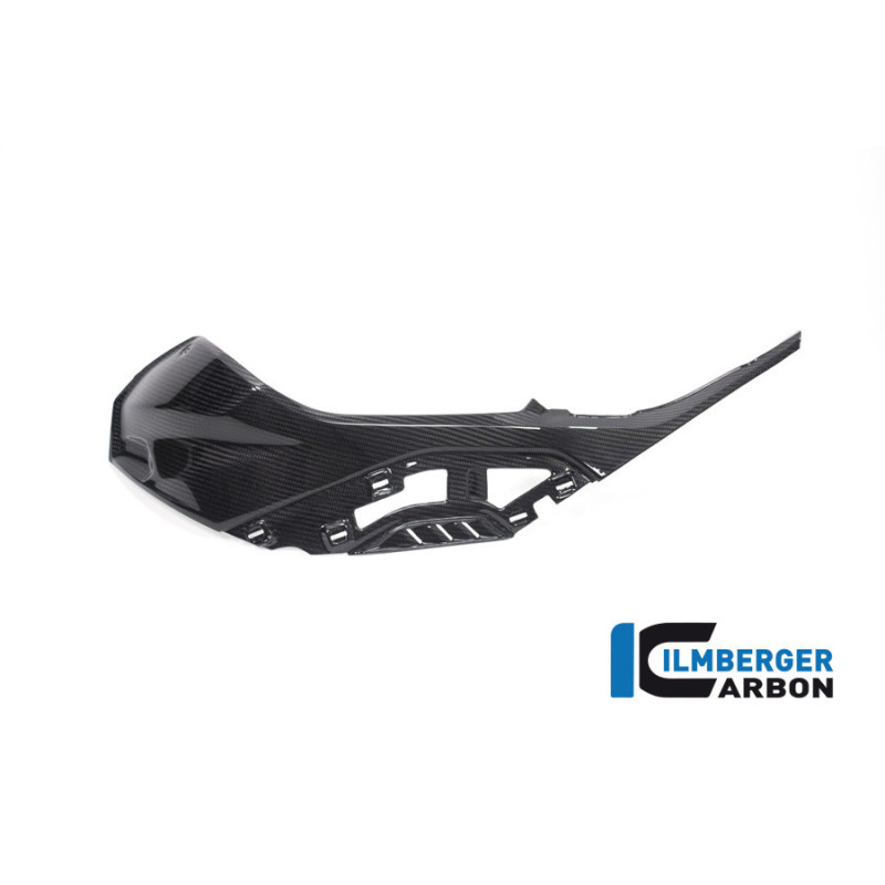 Cache latéral de réservoir gauche carbone pour BMW S 1000 R (E5+) | Ilmberger Carbon