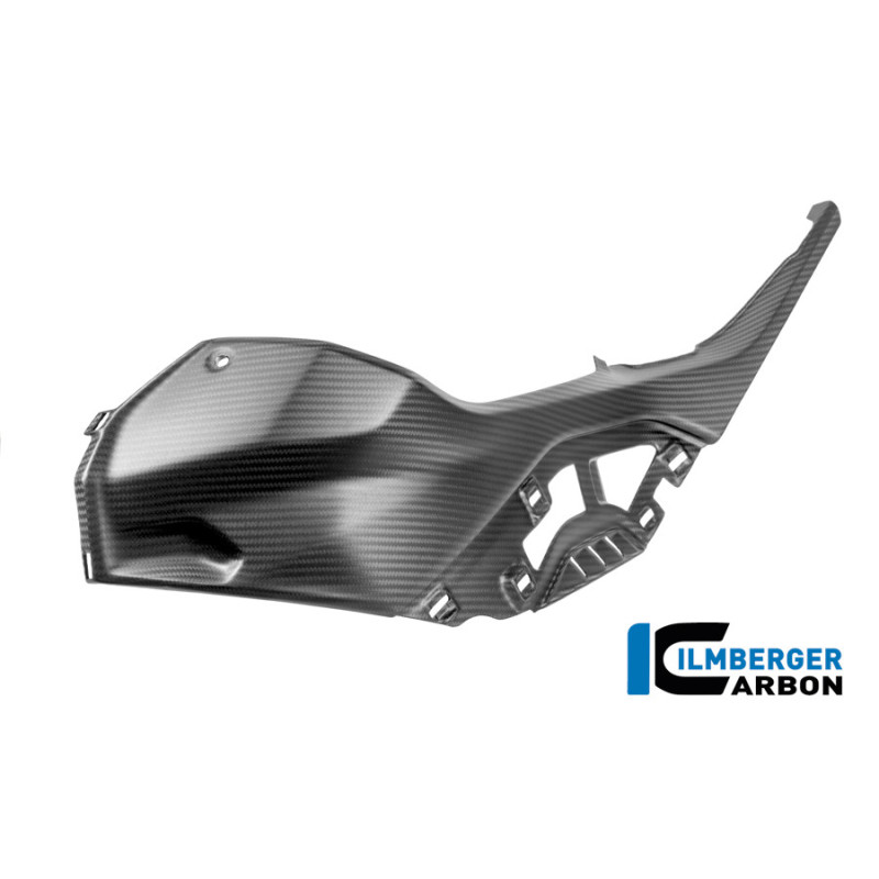 Cache latéral de réservoir gauche carbone pour BMW S 1000 R (E5+) | Ilmberger Carbon