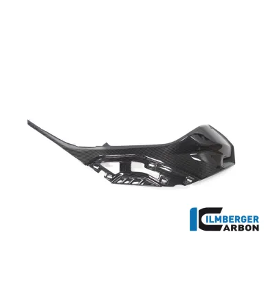 Cache latéral de réservoir droit carbone pour BMW S 1000 R (E5+) | Ilmberger Carbon