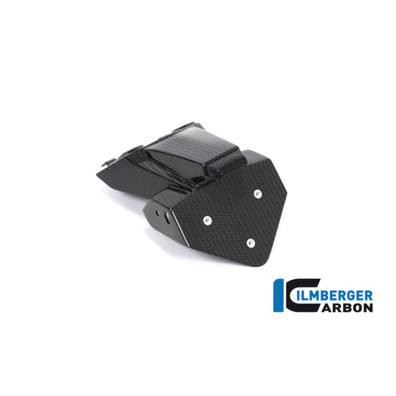 Support de plaque carbone pour BMW S 1000 R (E5+) | Ilmberger Carbon