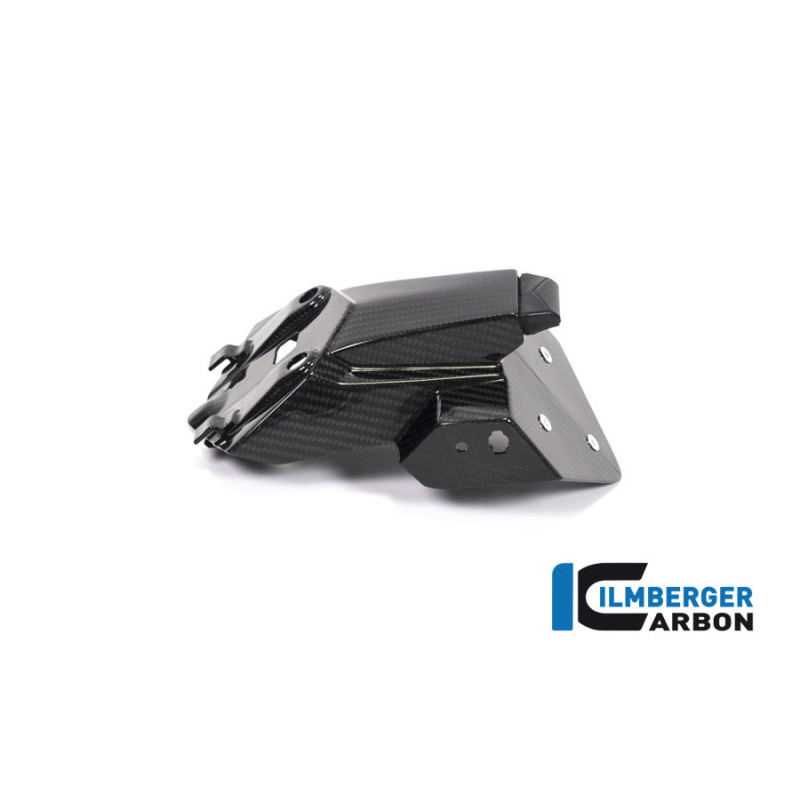 Support de plaque carbone pour BMW S 1000 R (E5+) | Ilmberger Carbon