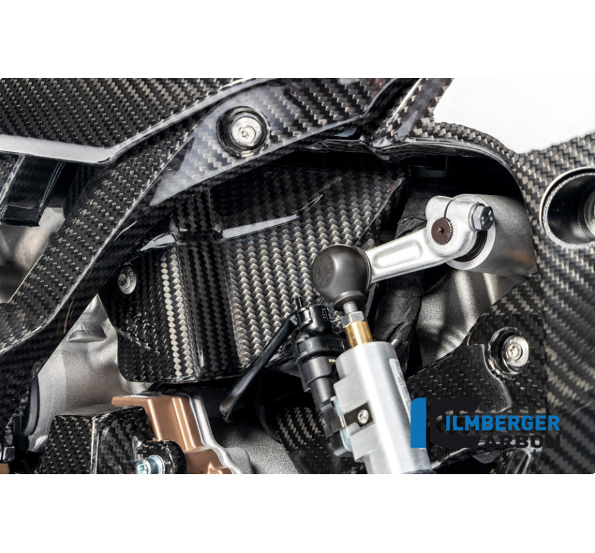Cache de faisceau électrique carbone pour BMW S 1000 R | Ilmberger Carbon