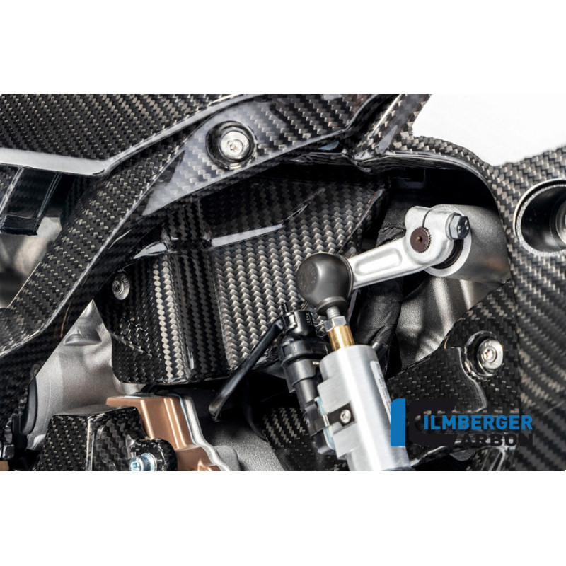 Cache de faisceau électrique carbone pour BMW S 1000 R | Ilmberger Carbon