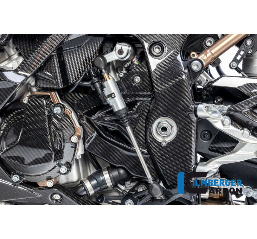 Cache de pignon carbone pour BMW S 1000 R (E5+) | Ilmberger Carbon