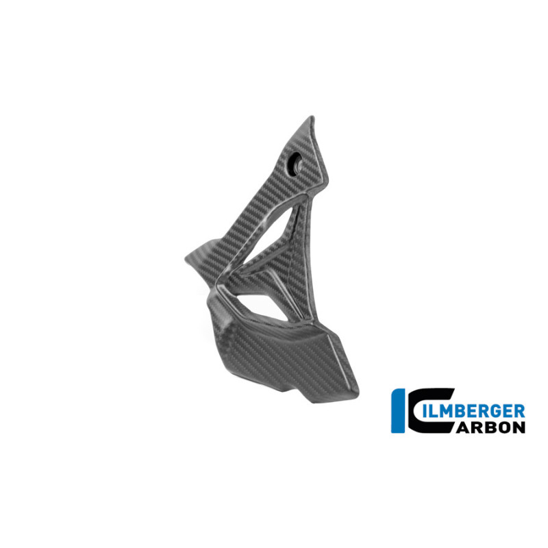 Cache de pignon carbone pour BMW S 1000 R (E5+) | Ilmberger Carbon