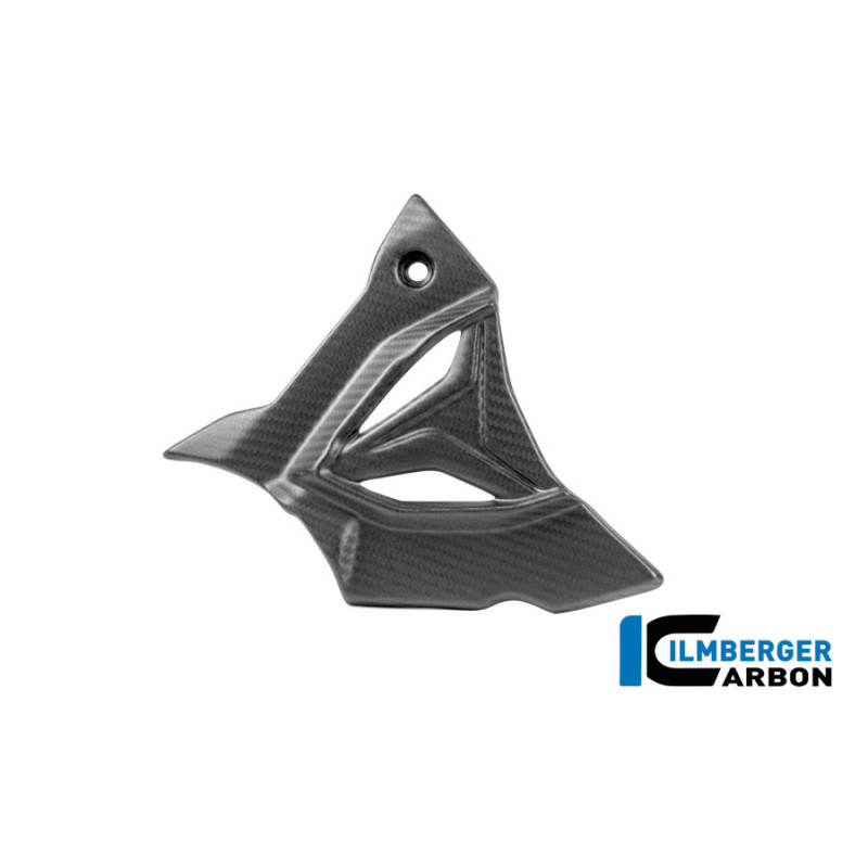 Cache de pignon carbone pour BMW S 1000 R (E5+) | Ilmberger Carbon