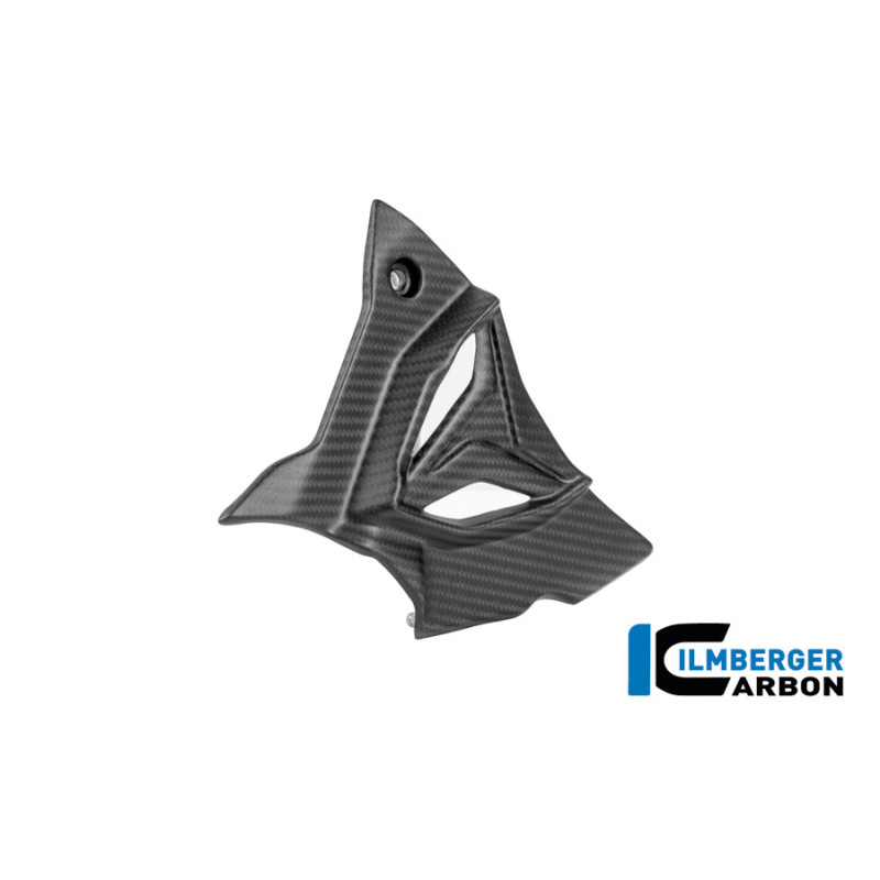 Cache de pignon carbone pour BMW S 1000 R (E5+) | Ilmberger Carbon