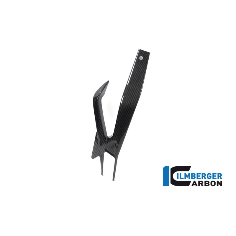 Cache de bras oscillant gauche carbone pour BMW S 1000 R | Ilmberger Carbon