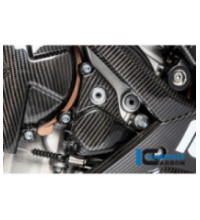 Cache de rotor d'allumage carbone pour BMW S 1000 R (E5+) | Ilmberger Carbon