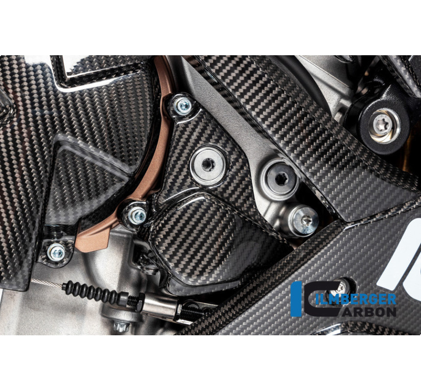 Cache de rotor d'allumage carbone pour BMW S 1000 R (E5+) | Ilmberger Carbon