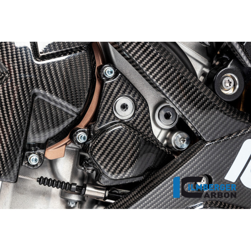 Cache de rotor d'allumage carbone pour BMW S 1000 R (E5+) | Ilmberger Carbon