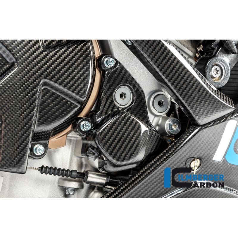 Cache de rotor d'allumage carbone pour BMW S 1000 R (E5+) | Ilmberger Carbon