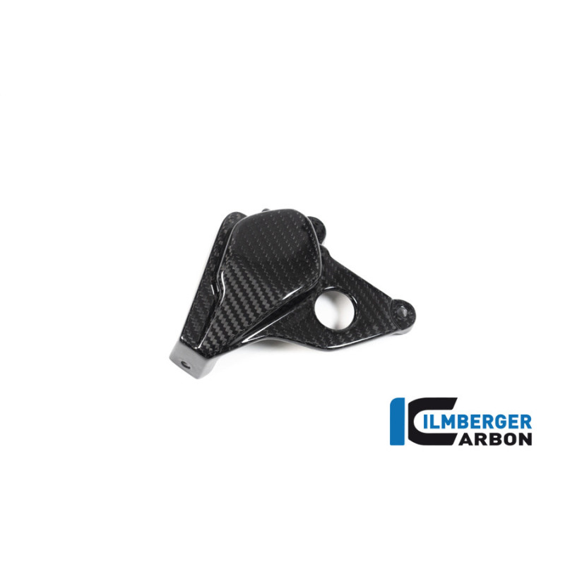 Cache de rotor d'allumage carbone pour BMW S 1000 R (E5+) | Ilmberger Carbon