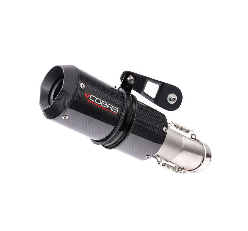 Silencieux GP pour BMW S 1000 RR et M 1000 R / RR | Cobra Sport