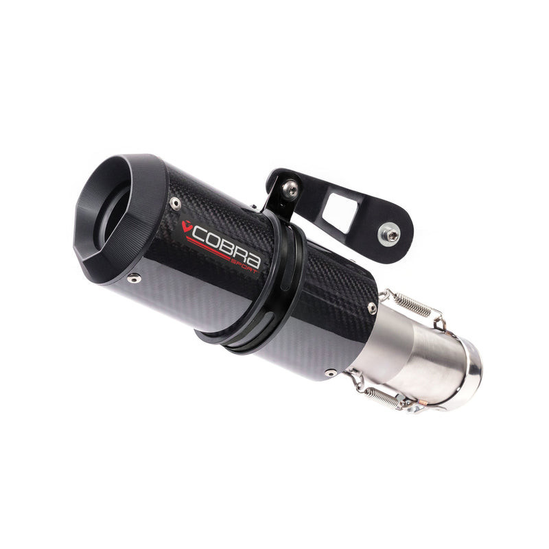 Silencieux GP pour BMW S 1000 RR | Cobra Sport