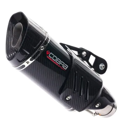 Silencieux Tri-Oval pour BMW S 1000 RR | Cobra Sport