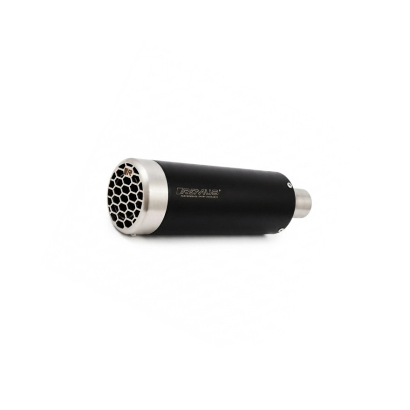 Silencieux Mesh (circuit) pour G 310 GS et G 310 R | Remus